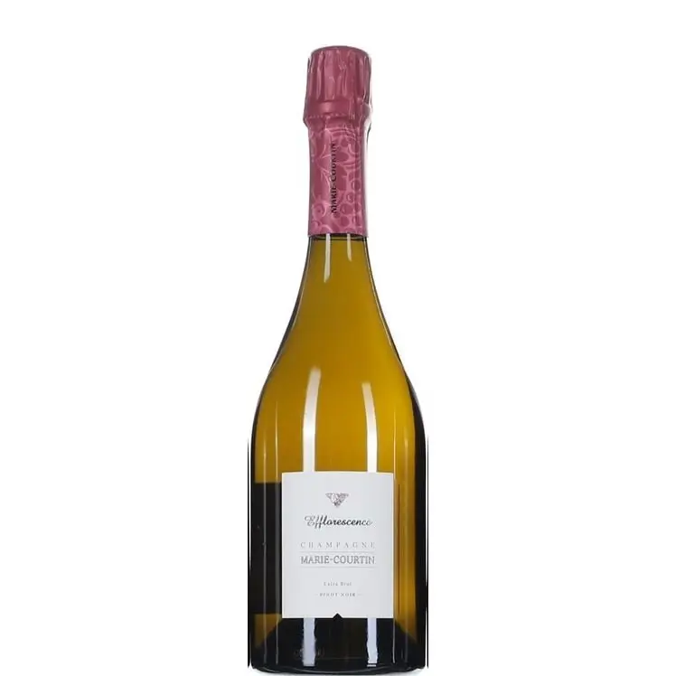 Marie Courtin Efflorescence 2015