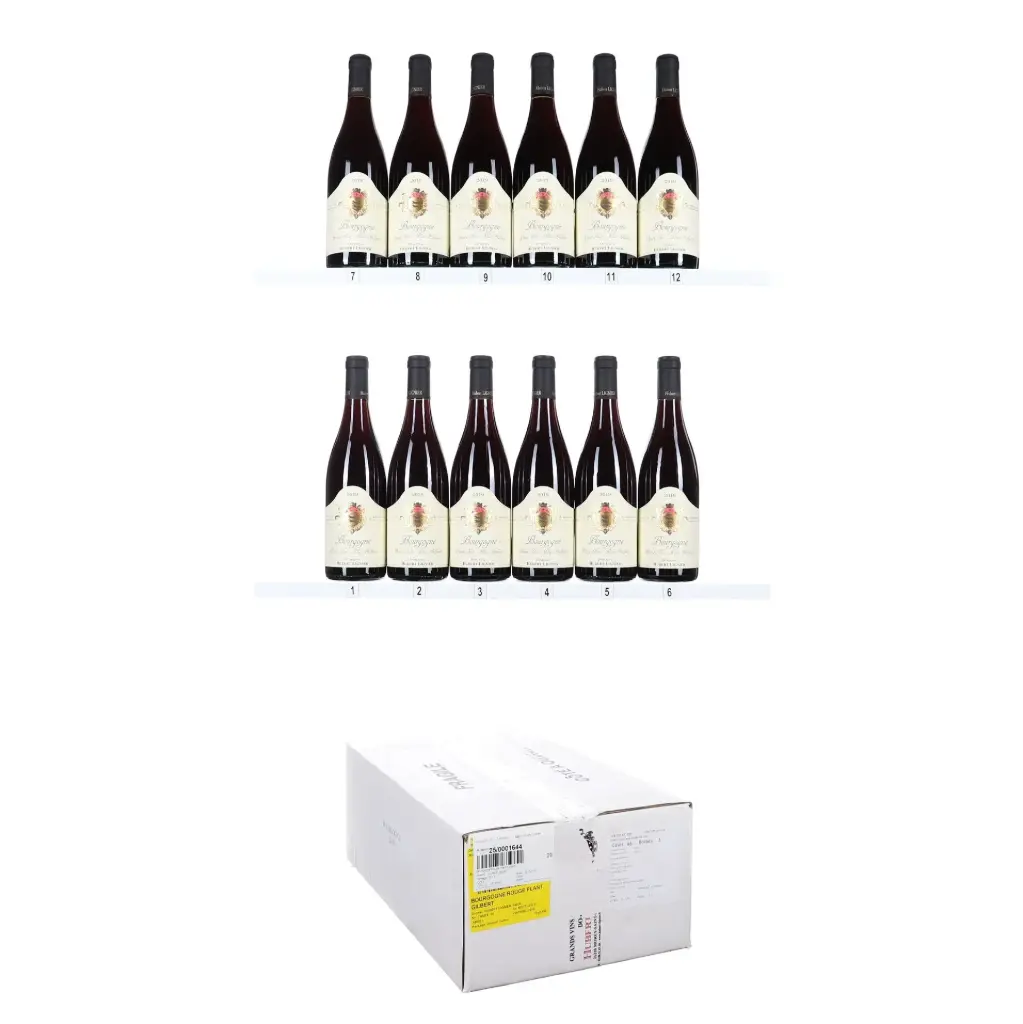 Hubert Lignier Bourgogne Rouge Plant Gilbert 2019 (OCC/12)