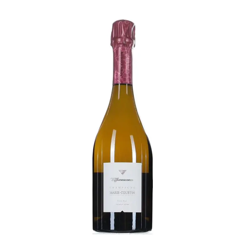 Marie Courtin Efflorescence 2016