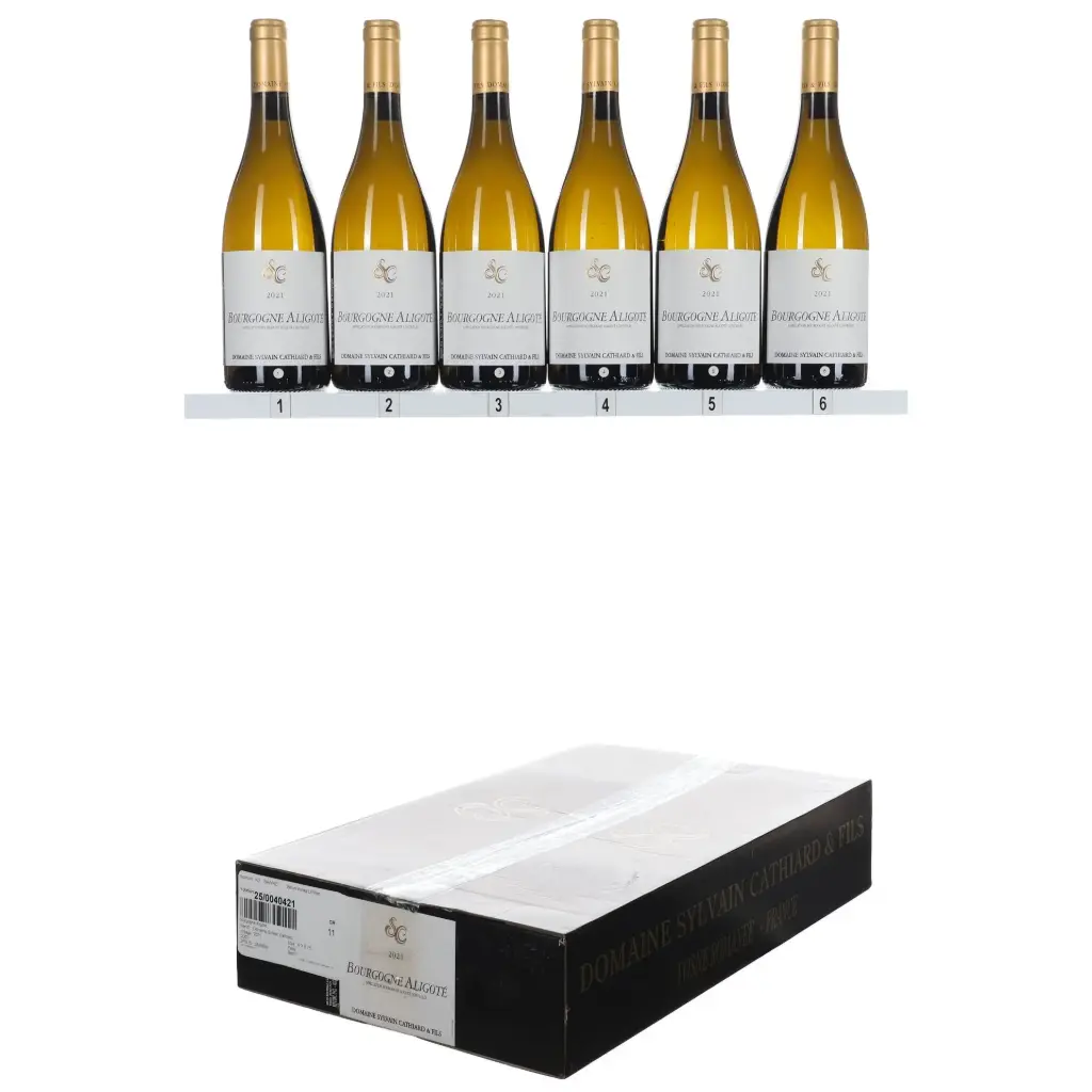 Sylvain Cathiard Bourgogne Aligote 2021 (OCC/6)