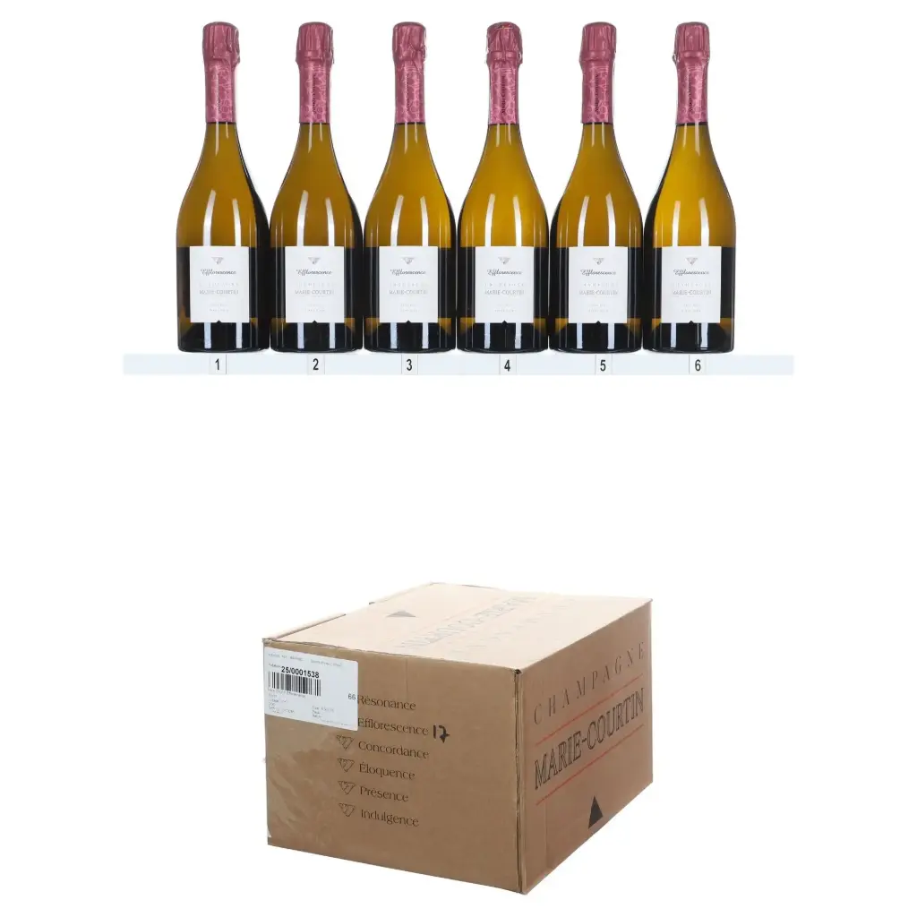 Marie Courtin Efflorescence 2017 (OCC/6)