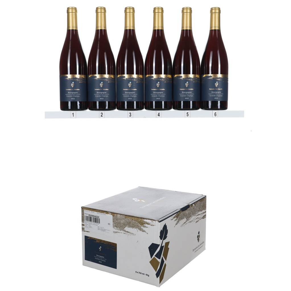 Domaine Les Astrelles Bourgogne Rouge "Grand Champs" 2022 (OCC/6)