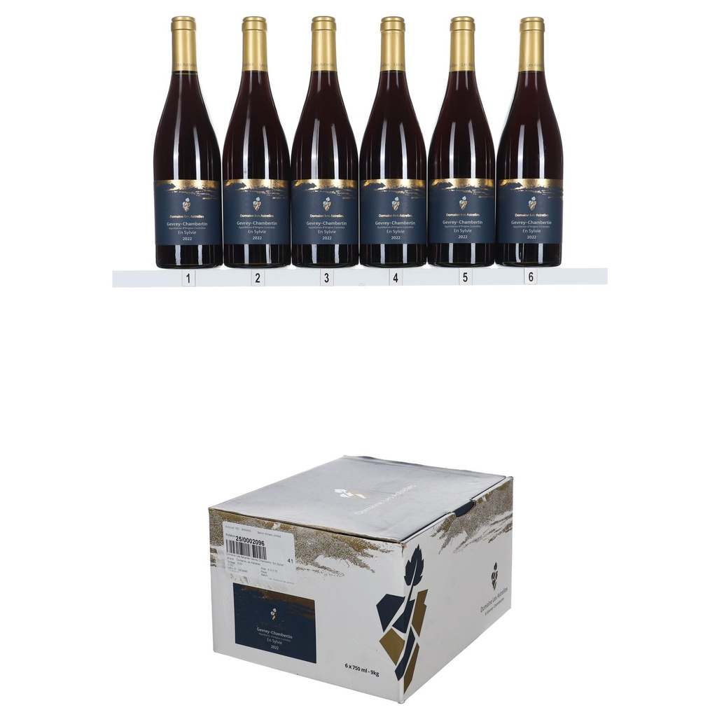 Domaine Les Astrelles Gevrey Chambertin "En Sylvie" 2022 (OCC/6)