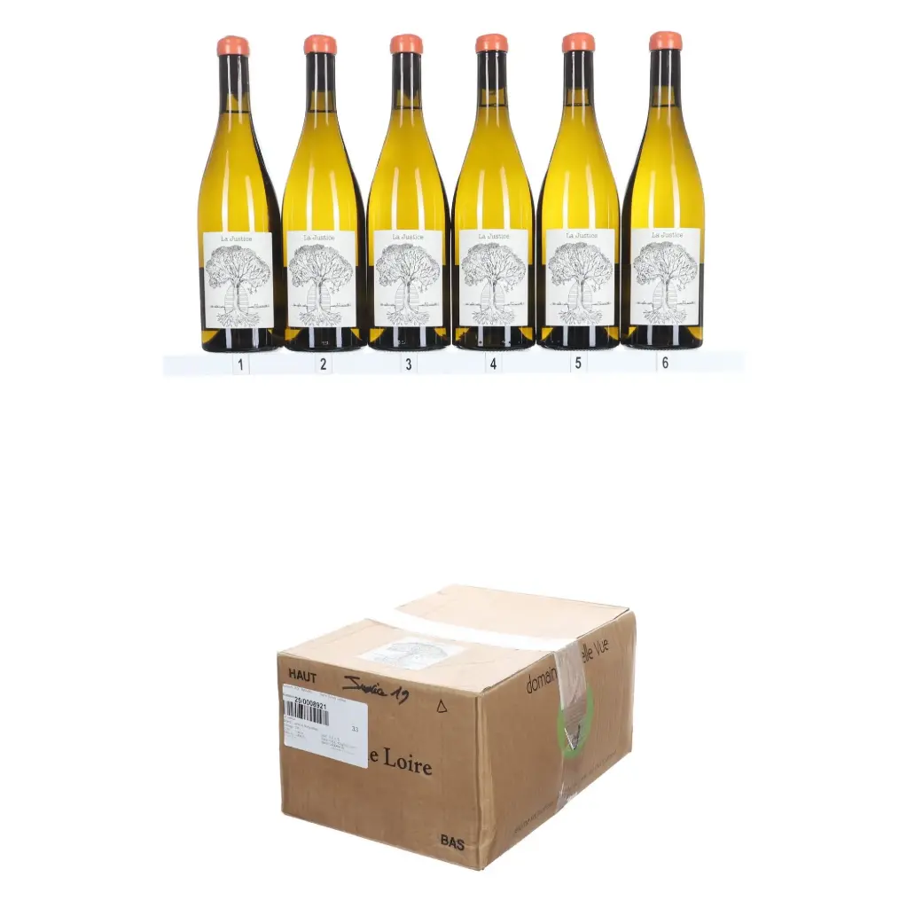 Jerome Bretaudeau La Justice 2019 (OCC/6)