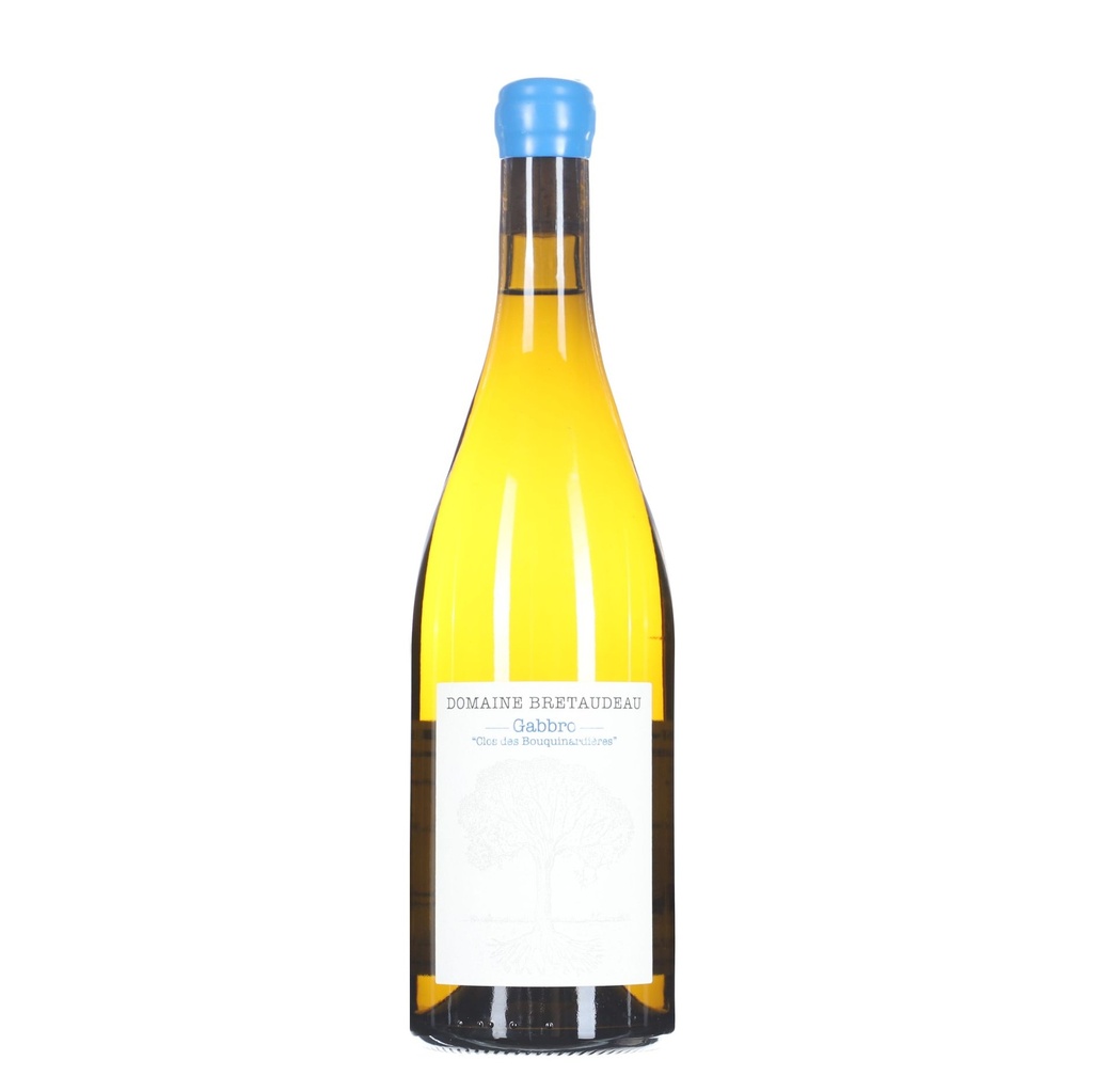Jerome Bretaudeau Muscadet Gabbro Clos des Bouquinardieres 2022