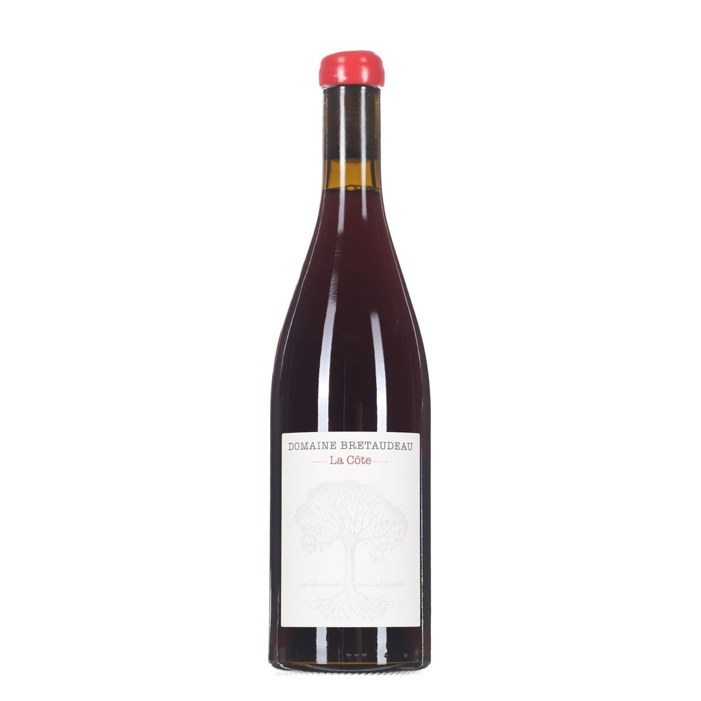 Jerome Bretaudeau Gamay La Cote 2020
