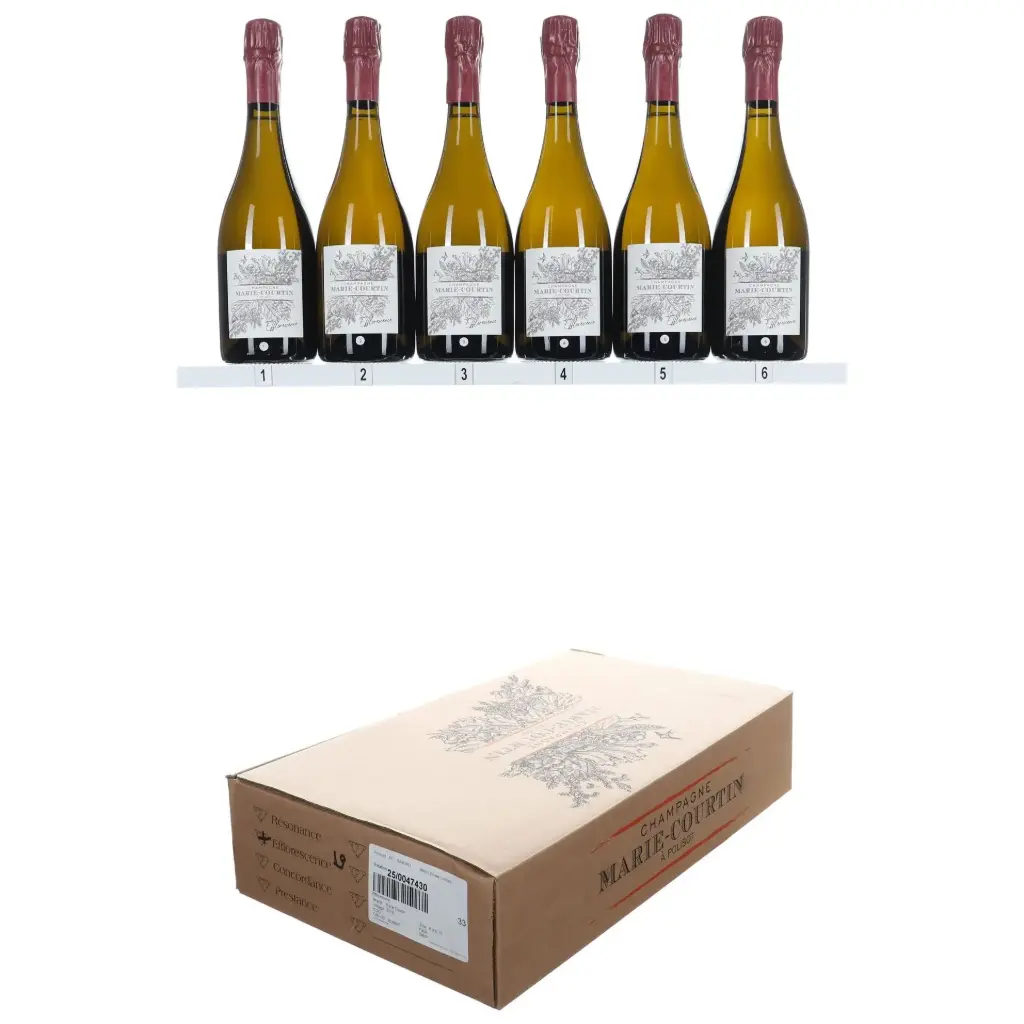 Marie Courtin Efflorescence 2019 (OCC/6)