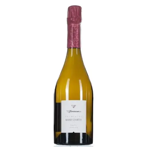 [MCEFF15] Marie Courtin Efflorescence 2015