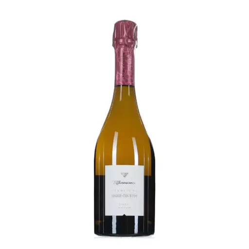 [MCEFF16] Marie Courtin Efflorescence 2016