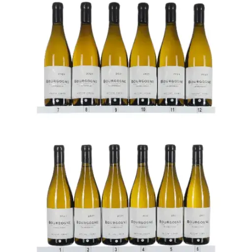[AJBB21] Antoine Jobard Bourgogne Blanc 2021 (OCC/12)