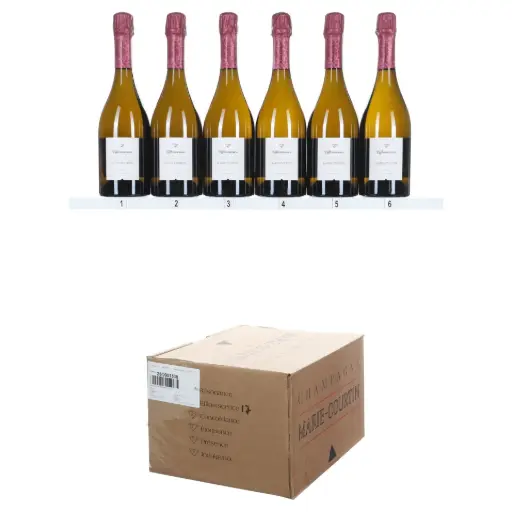 [MCEFF17] Marie Courtin Efflorescence 2017 (OCC/6)