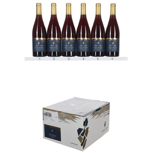 [ASTGCCDC22] Domaine Les Astrelles Gevrey Chambertin "Croix des Champs" 2022 (OCC/6)