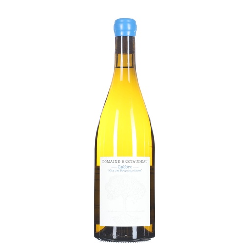 [JBRMGCB22] Jerome Bretaudeau Muscadet Gabbro Clos des Bouquinardieres 2022
