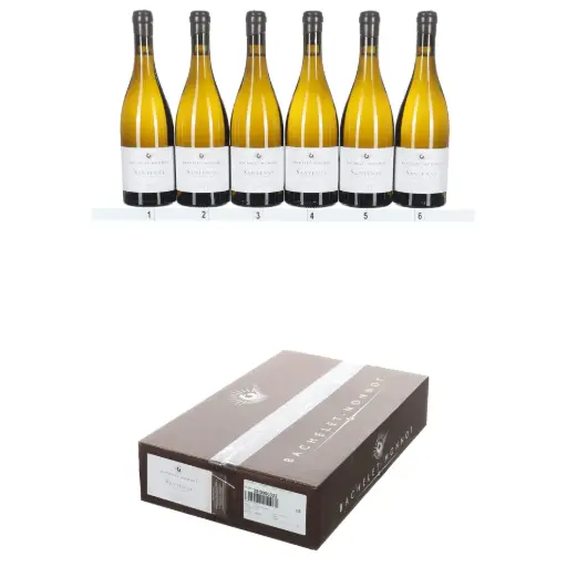 [BMSB22] Bachelet Monnot Santenay Blanc 2022 (OCC/6)