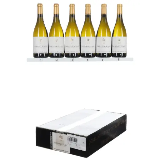 [SCBA23] Sylvain Cathiard Bourgogne Aligote 2023 (OCC/6)