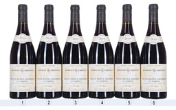 Robert Chevillon Nuits St Georges 1er Cru Perrieres 2019 (Case/6)