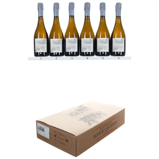 [MCP22] Marie Courtin Presence 2022 (OCC/6)