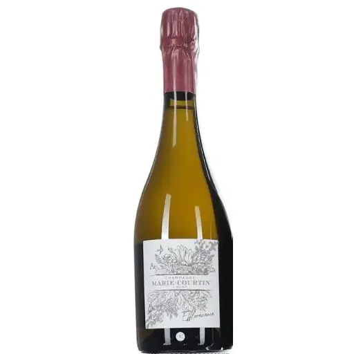 [MCEFF19] Marie Courtin Efflorescence 2019